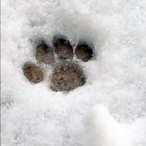 Meet your Posher, Pam